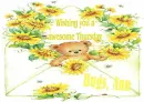 awesome thursday ann
