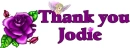 Thank you Jodie