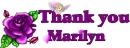 Thank you Marilyn