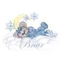 Briar