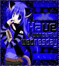 Neko - wednesday