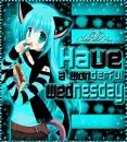Neko - wednesday