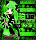 Neko - wednesday