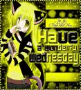 Neko - wednesday