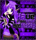 Neko - wednesday