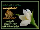 Proverb from Qurran......flower