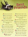 best friend