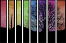 colors