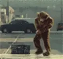bear dancing