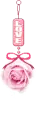 cute rose
