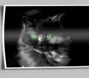 glowing eyes