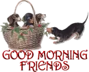 good morning friends