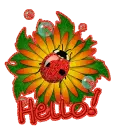 Hello