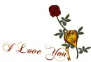 I love you
