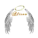 name with angel wings