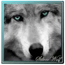 Blue Eyes