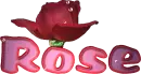 Rose, First Name