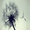 photograpy