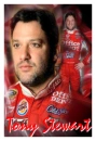 tony stewart