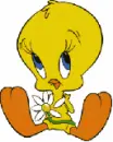 Have a tweet day 