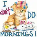 I don't do mornings 