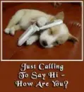 Just calling to say hello 