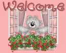 creddy bear welcome