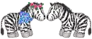 Zebras