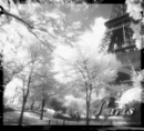 paris: eiffil tower black and white