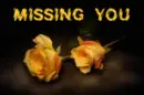 missing you