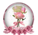 MOMGL