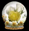YELLOWROSEGLOBE