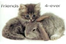 Friends 4 Ever