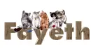 FAYETH