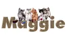 maggie