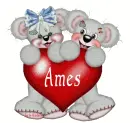 CREDDY BEARS WITH NAME AMES