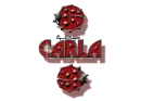 red traveling ladybugs carla