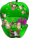 A Apple House