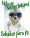 hello friend