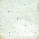 CLEAR BIRDS