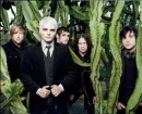 McR