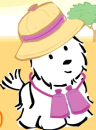 cute dog