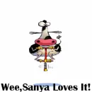 cow jumping on pogo stick