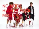Anti HSM