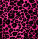 Pink Leopard Print