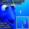 Dory and squishy