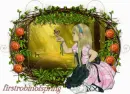 firstrobinofspring