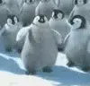 happy feet!