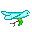 bird