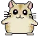 hamster